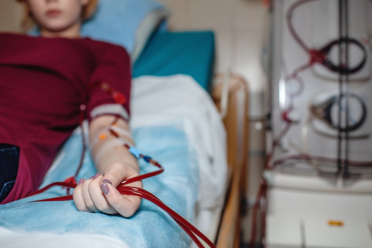 Rim e coração: órgãos dependem um do outro para funcionarem! 