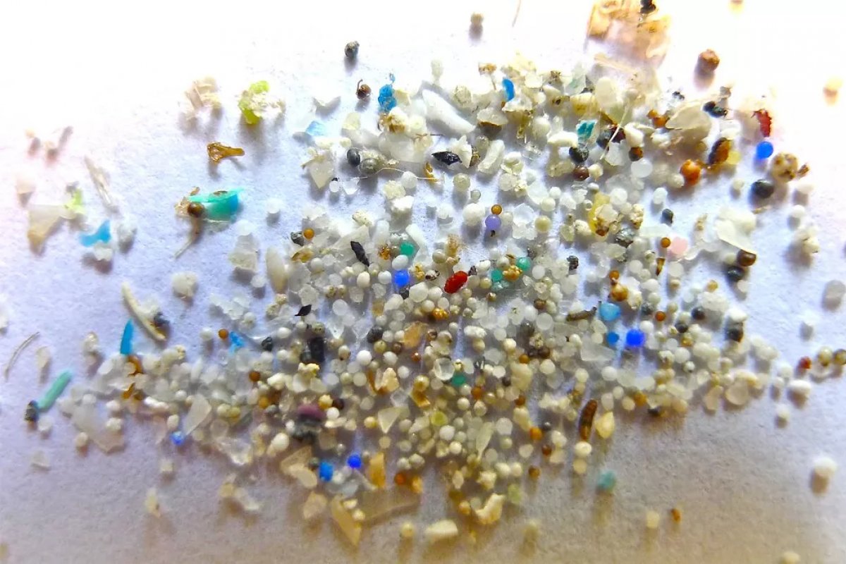 Microplásticos encontrados nas artérias aumentam risco de infarto, AVC e morte 