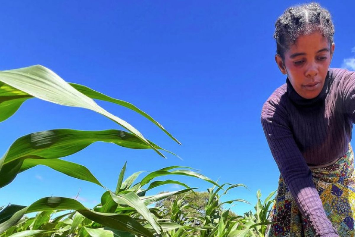 Estudo aponta que crise climática impacta diretamente na vida de mulheres rurais