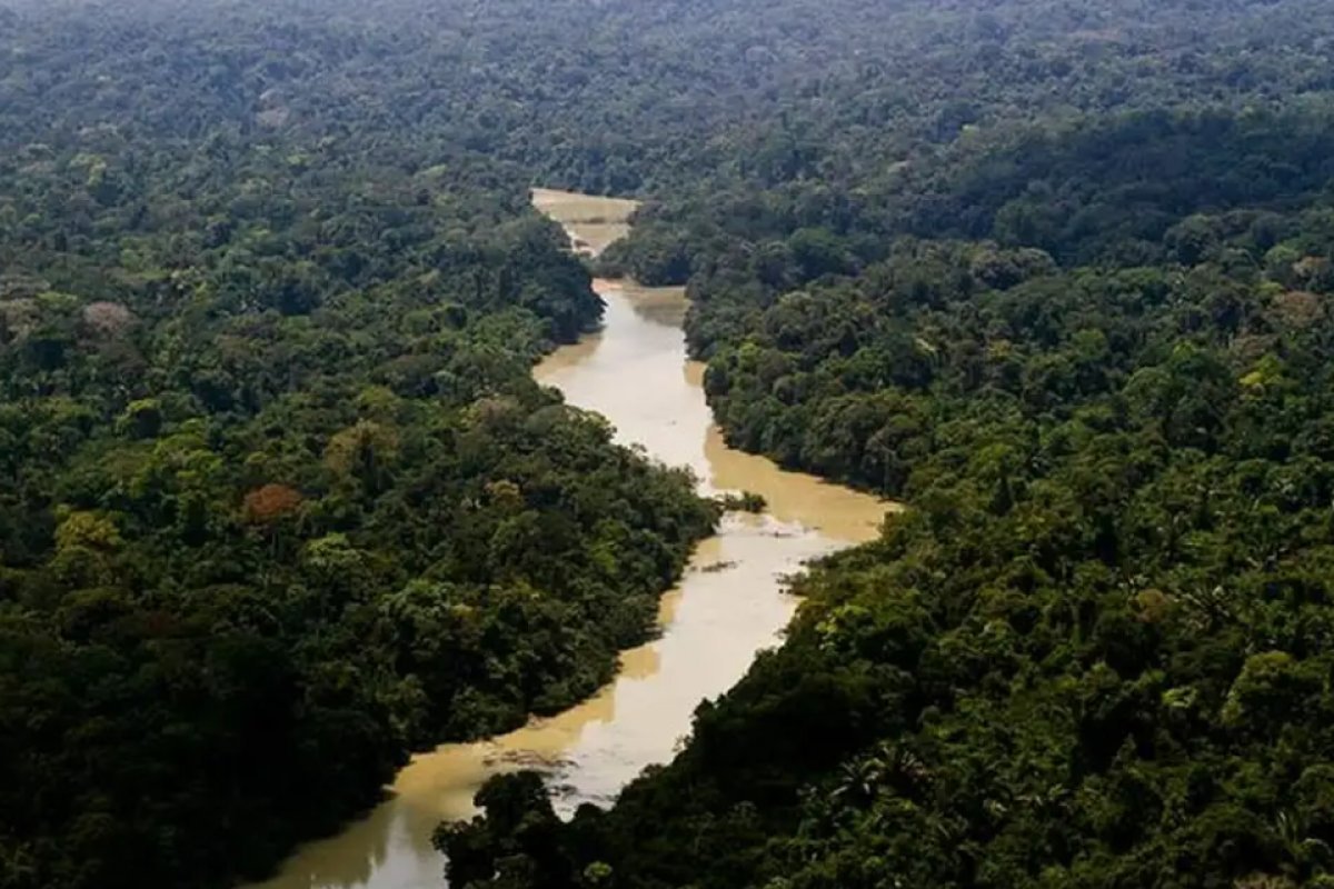 STF determina que o Governo Federal deve realizar ações para proteção ao meio ambiente na Amazônia
