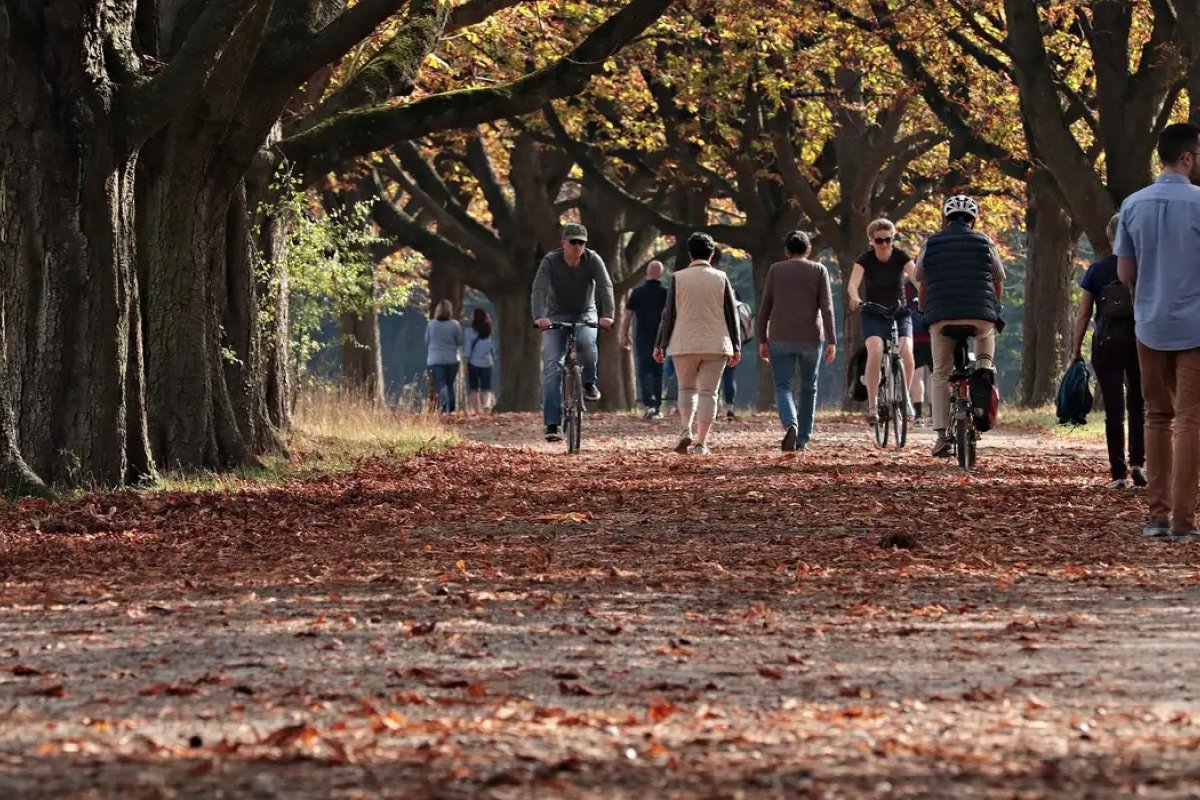 Outono começa nesta quarta-feira (20); saiba como vai ser