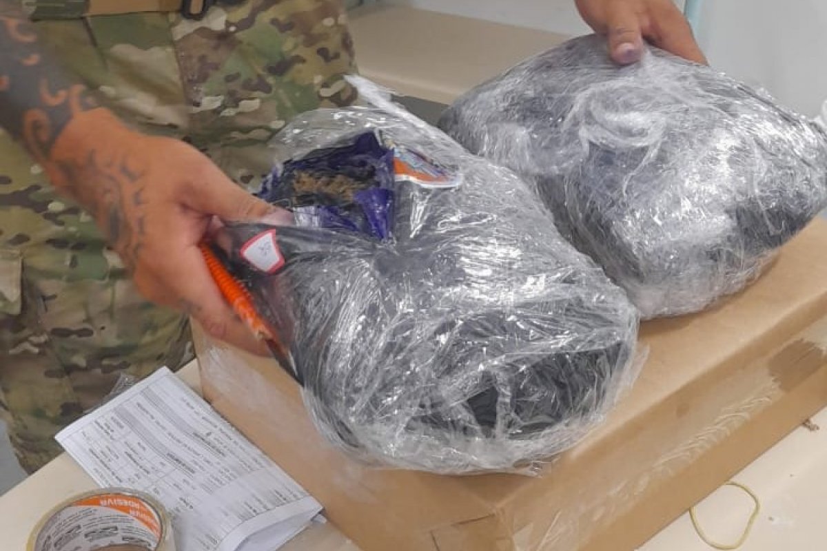 Polícia apreende cogumelos alucinógenos em encomendas dos Correios 