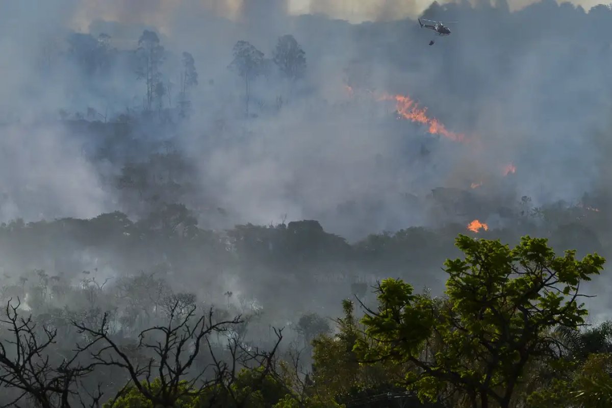 Queimadas no Brasil batem recorde em 2024 e atingem maior patamar dos últimos sete anos 