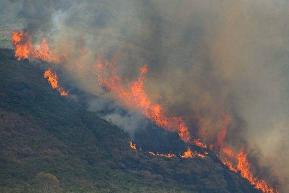 Deter: Desmatamento na Amazônia cresce 183% em dezembro comparado ao mesmo mês de 2018