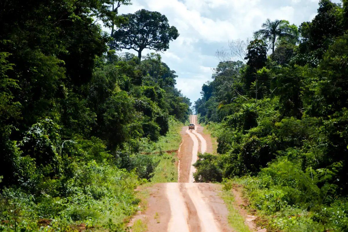 Amazônia: degradação afeta área três vezes maior que desmatamento