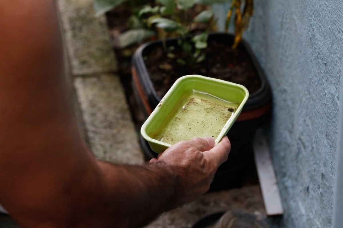Dengue: Bahia tem 265 municípios em epidemia, aponta Sesab 