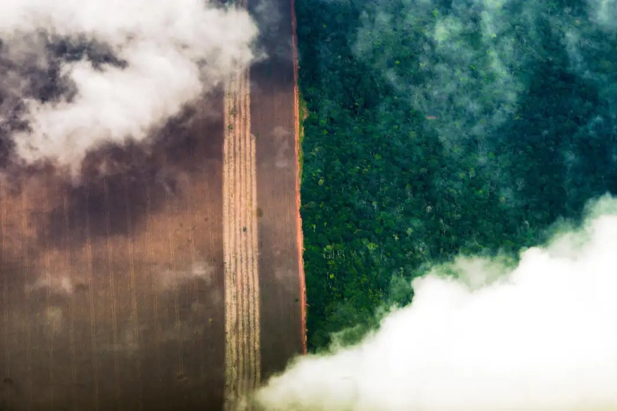 Desmatamento tem queda de 40% na Amazônia, mas permanece em alta no Cerrado, aponta Inpe