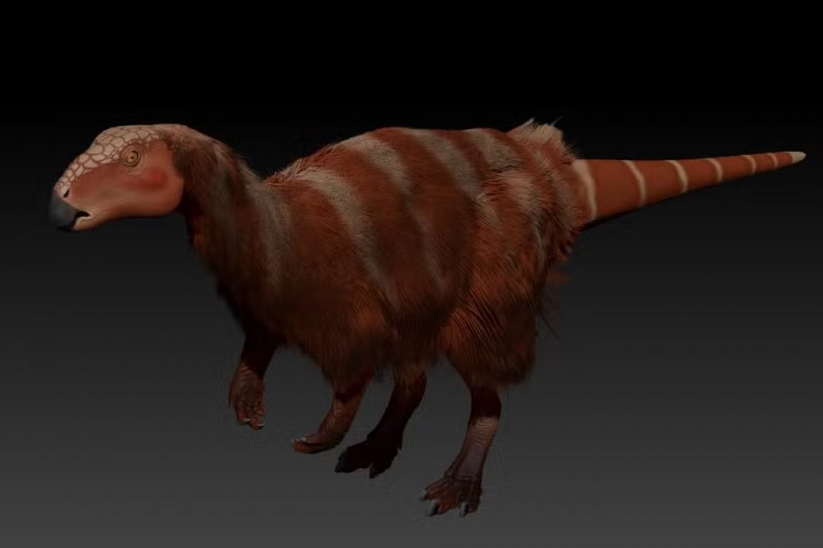 Cientistas da Uerj descobrem nova espécie de dinossauro que viveu na Bahia e o nomeiam em homenagem a Tieta 
