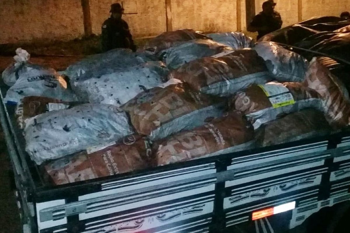 Caminhão é apreendido com carga irregular de 17 mil caranguejos no sul da Bahia