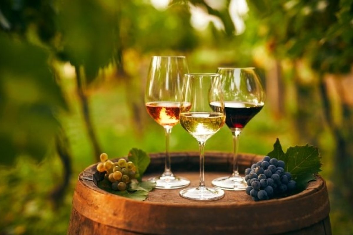 Com mais de 500 anos de tradição, saiba por que o Brasil possui uma história única no cultivo de vinhos! 