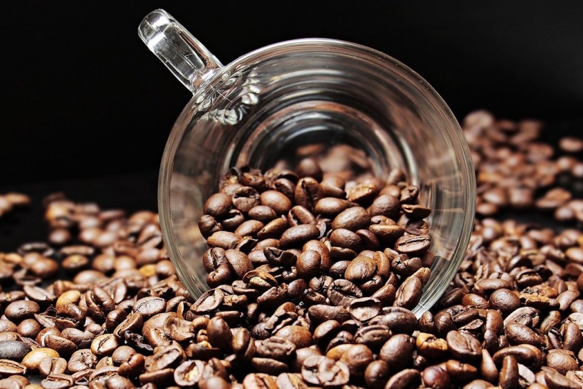 Levantamento aponta que safra de café deve crescer 25% em 2020