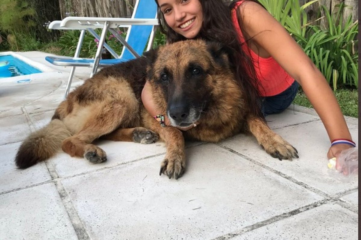 Jovem argentina tira foto com cachorro e acaba sendo mordida