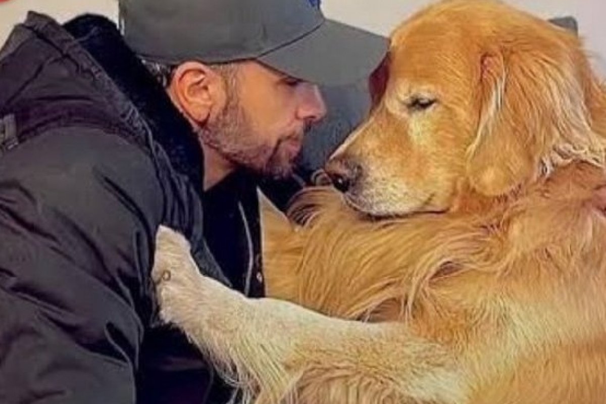 Após cão morrer, Gol suspende transporte de pets! 