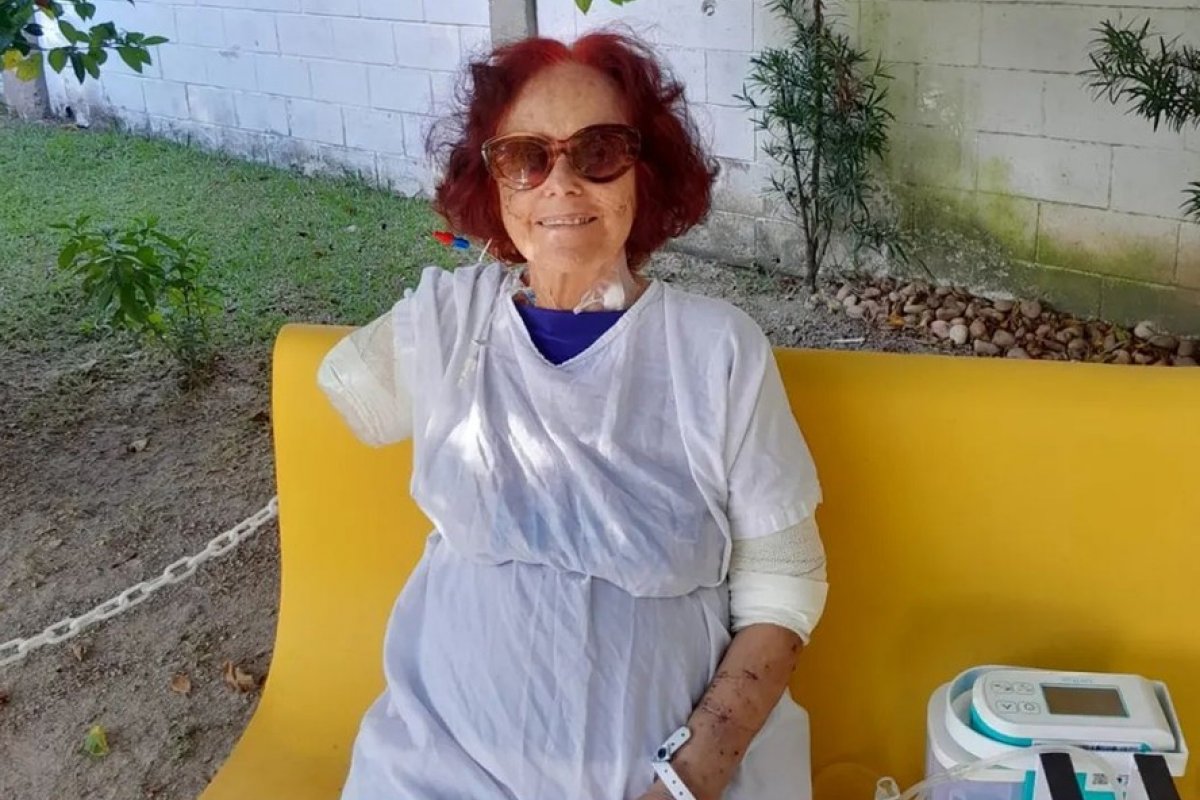 Após ataque de pitbulls, Roseana Murray surge na web e recebe apoio de  anônimos e famosos!