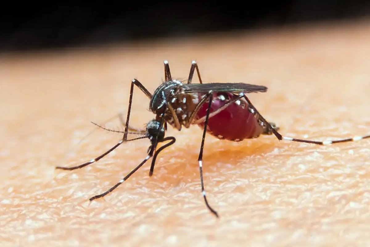 Malária atinge mais crianças, gestantes e pessoas vulneráveis