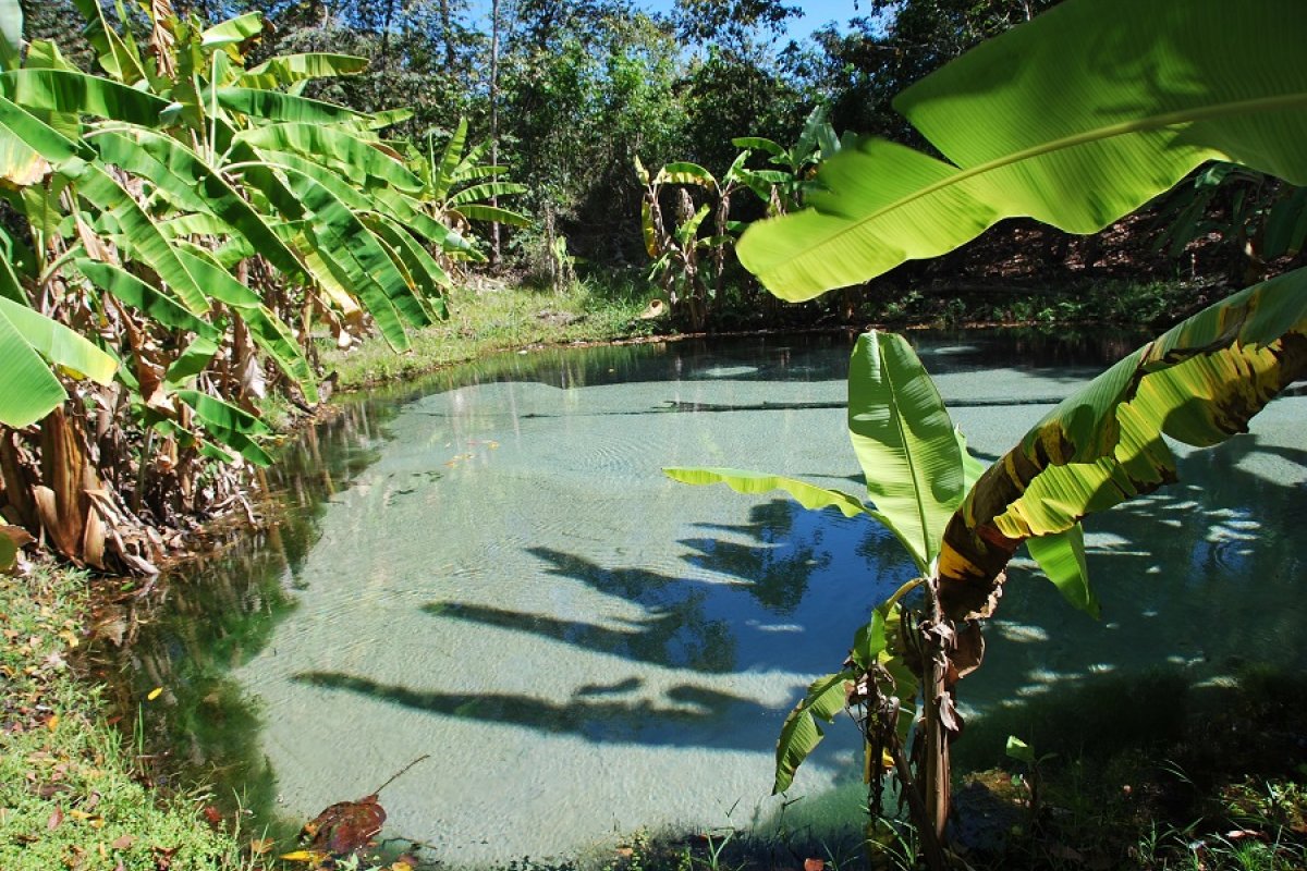 Novo safári explora a natureza intocada das Serras Gerais, no Tocantins! 