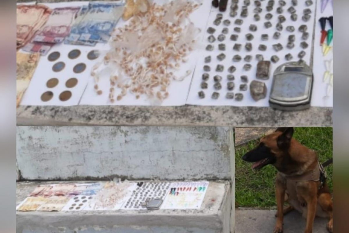 Drogas são localizadas por cães Farejadores