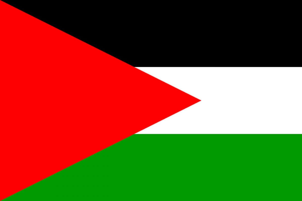 Mais de 80 mil palestinos já fugiram de Rafah, no sul da Gaza