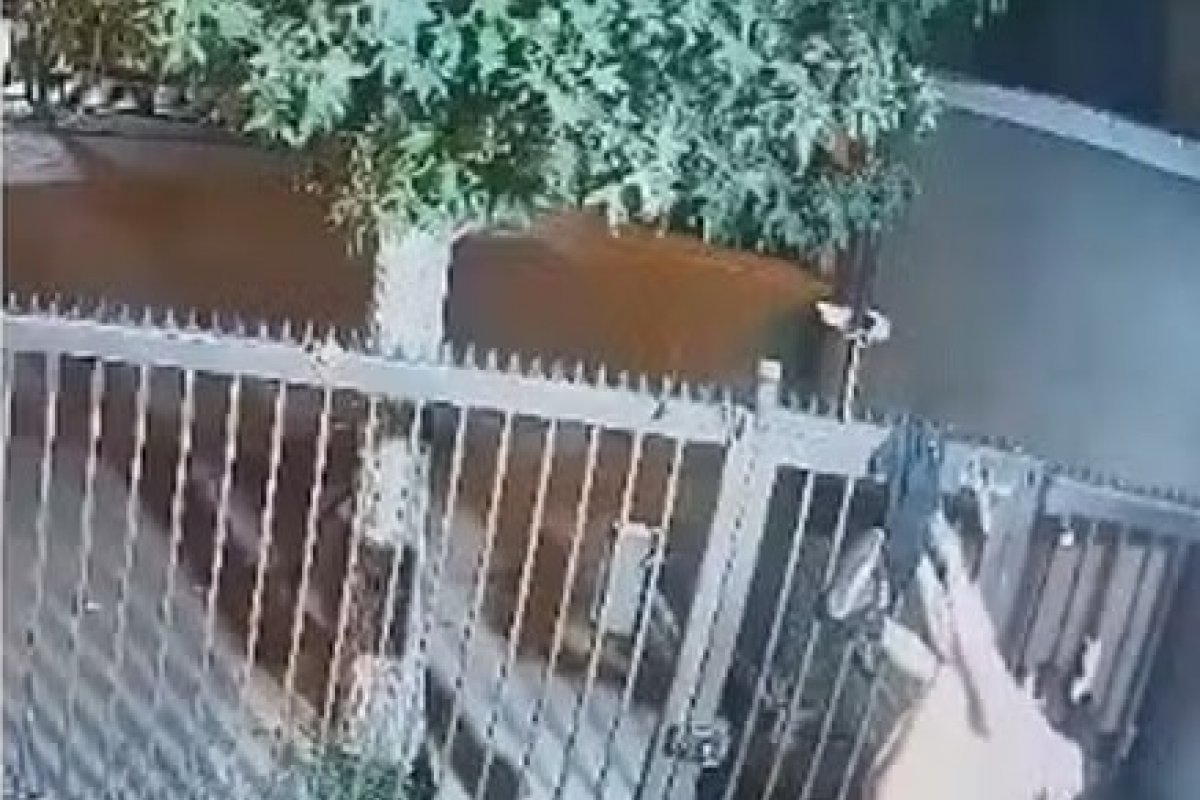 Vídeo: em tentativa de furto, mulher acaba pendurada e seminua no Chile 