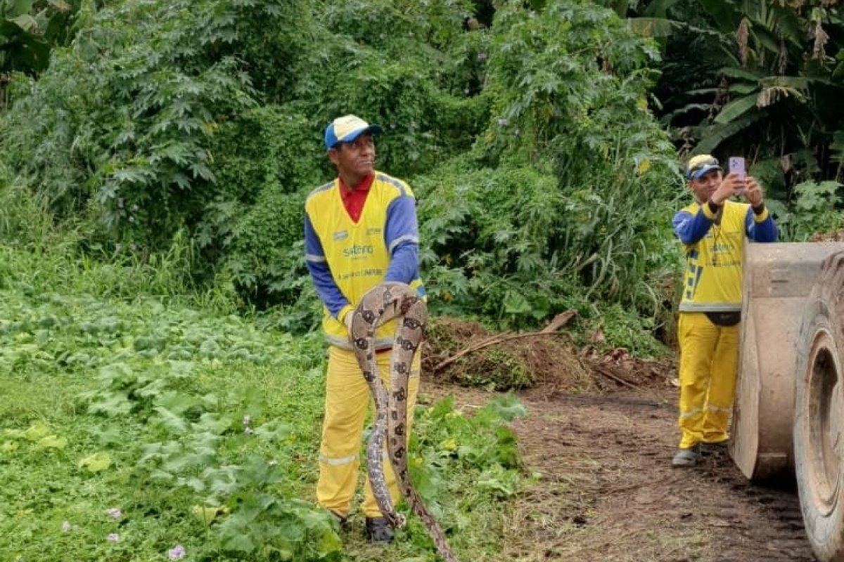 Cobra é encontrada em área verde de condomínio em Salvador 
