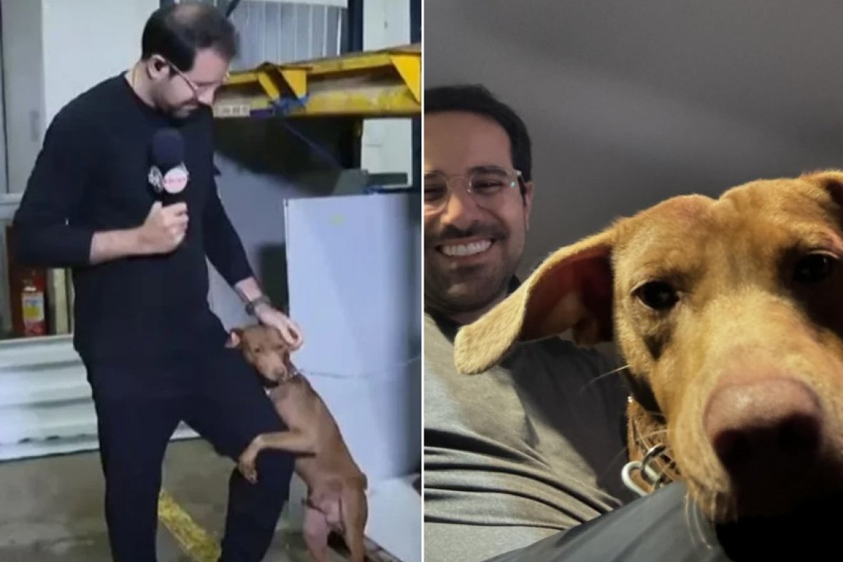 Cachorro que abraçou Paulo Mathias é adotado pelo repórter: "No meio do caos surgiu uma amizade"! 