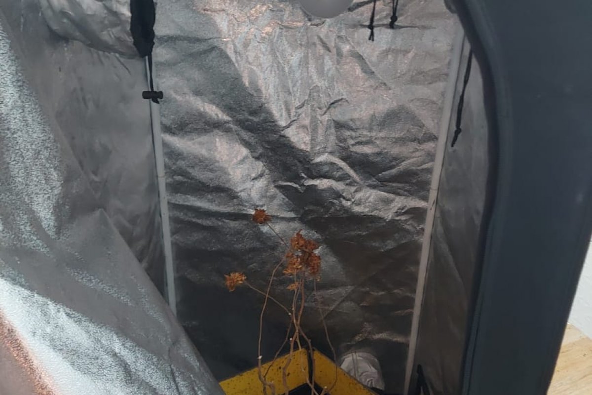 Polícia Civil desmonta laboratório de drogas em Camaçari 