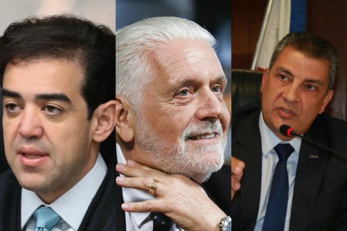 Presidente do TCU, senador e conselheiro recebem medalhas do TCM