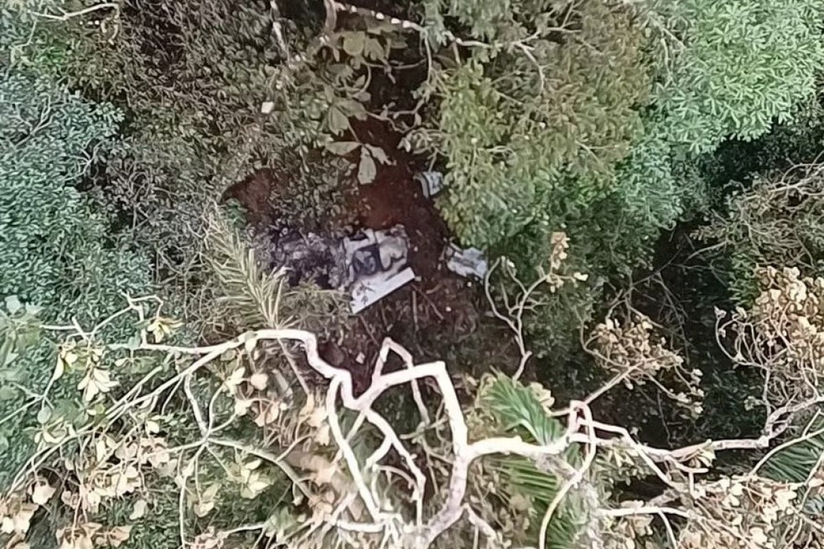 Avião de pequeno porte cai e deixa mortos em Santa Catarina 