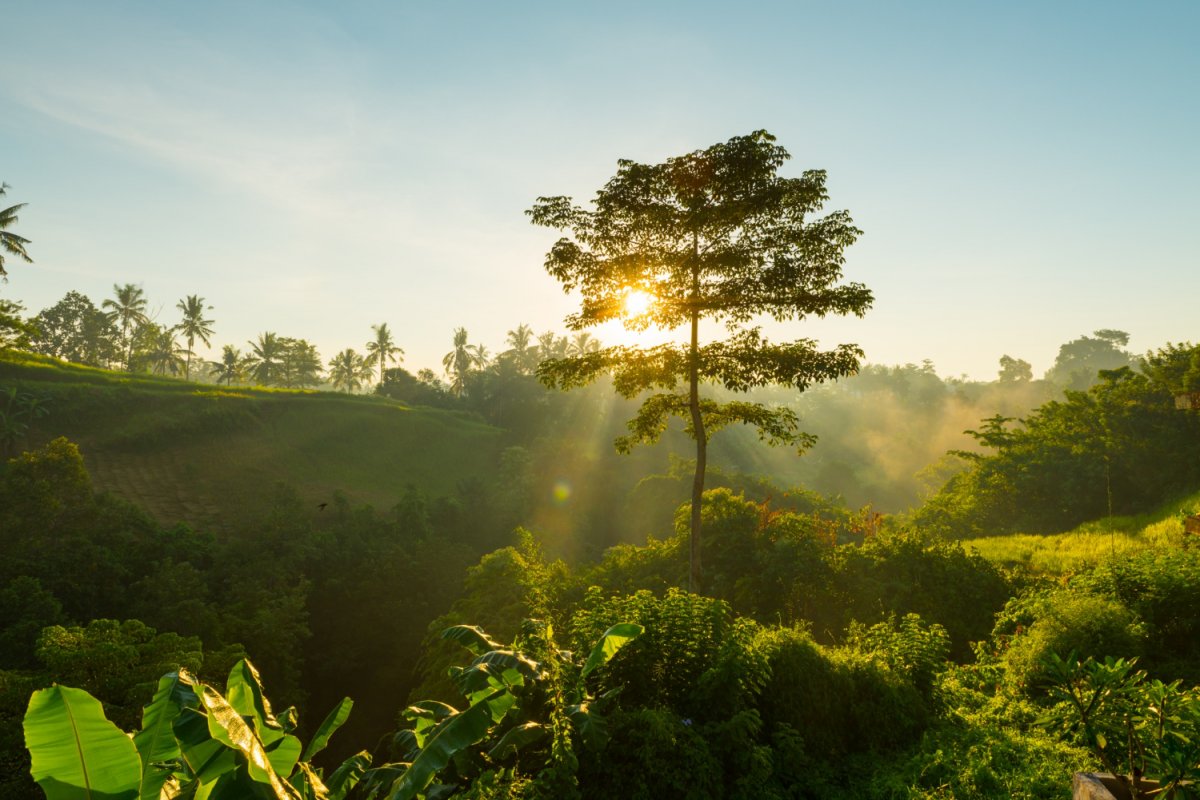 Países da UE aprovam lei sobre restauração de ecossistemas