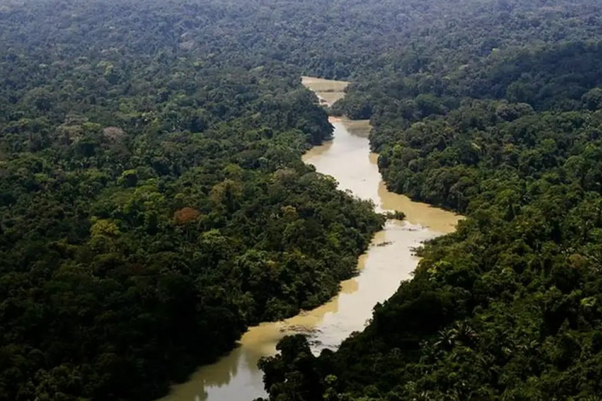 R$ 318,5 milhões do Fundo Amazônia serão destinados para projeto de segurança pública no bioma