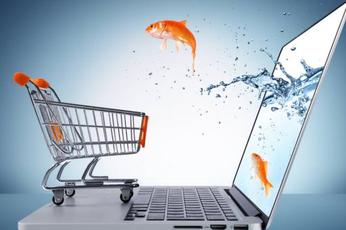 Segundo pesquisa, E-commerce continua a conquistar novos compradores no Brasil! 