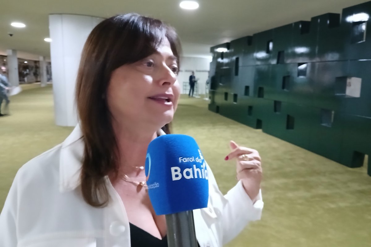 Vídeo: Haddad poderia ser mais flexível para garantir aumento aos servidores, diz Alice Portugal sobre greve nas federais
