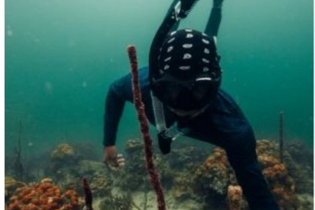 Panamá reforça compromisso com a sustentabilidade e experiências oceânicas autênticas! 