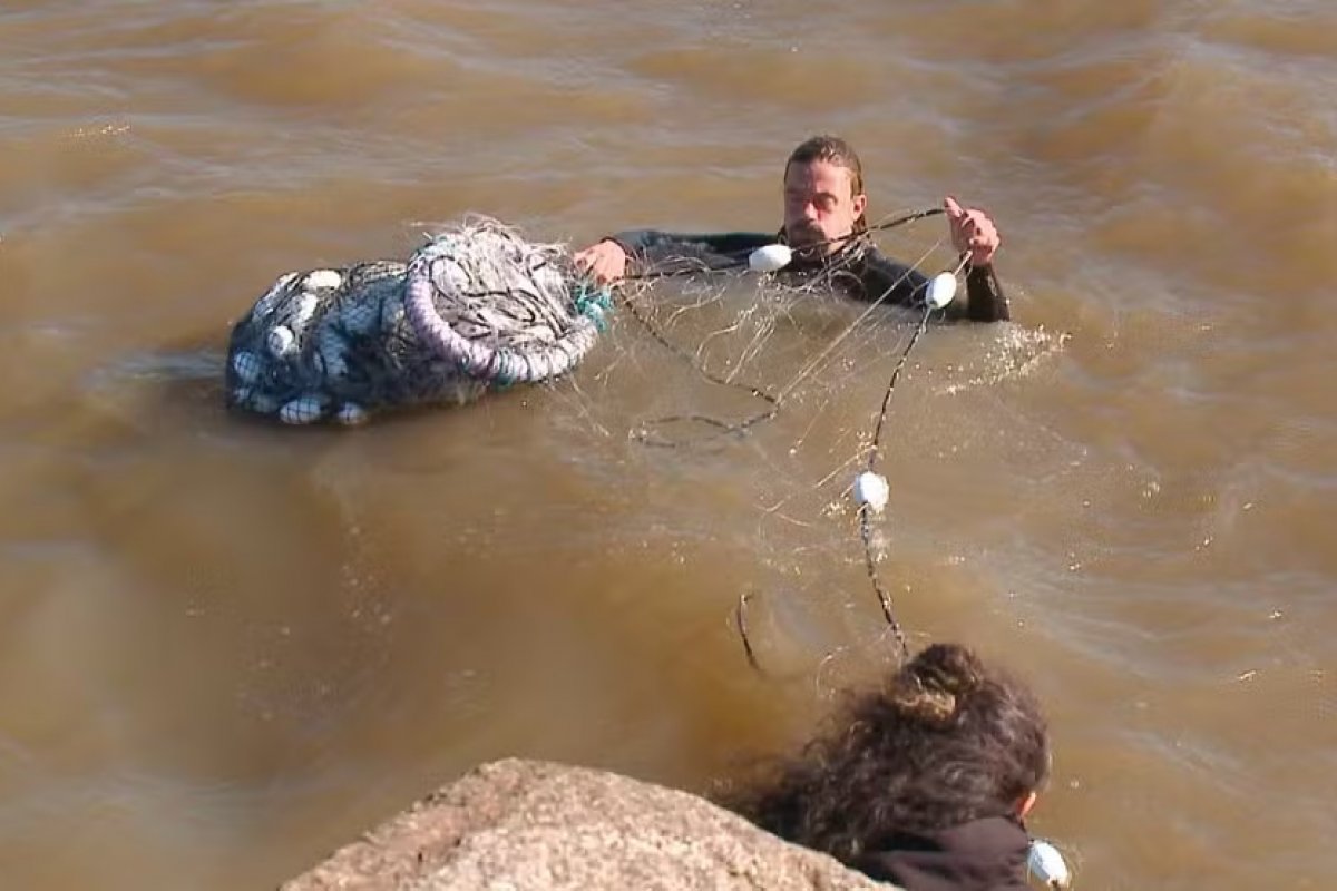 Desaparecimento de tartarugas em praia do RS após enchente é investigado por pesquisadores
