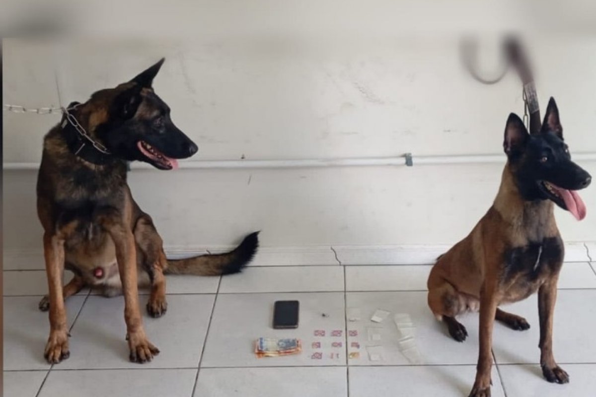 Mulher é flagrada com drogas em Porto Seguro