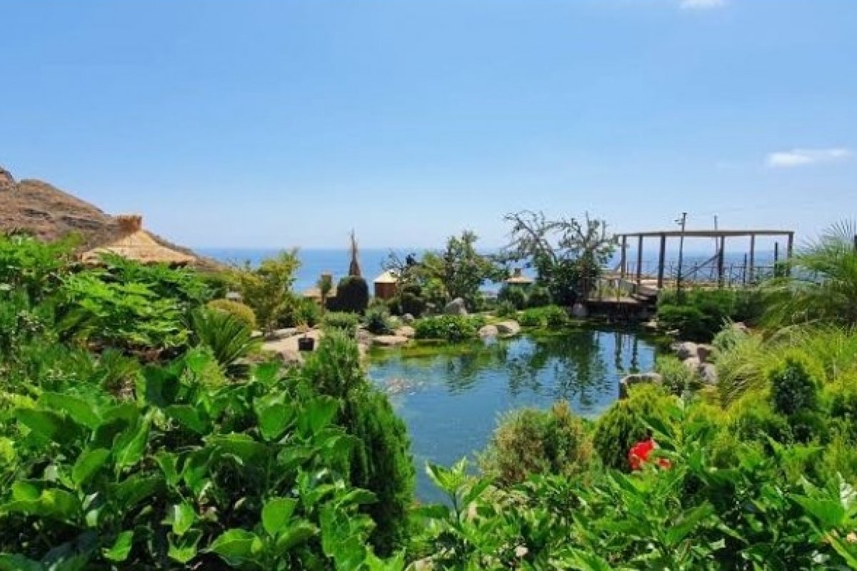 Viagem em família: principais atrativos para curtir a Ilha da Madeira com crianças!