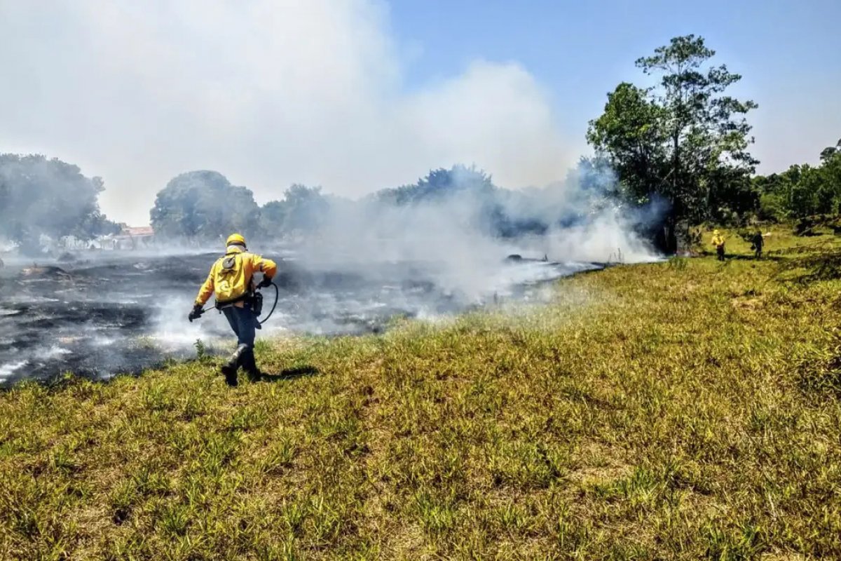 US$ 4 trilhões devem ser investidos até 2030 pelo Mundo para cumprir metas do clima, aponta relatório