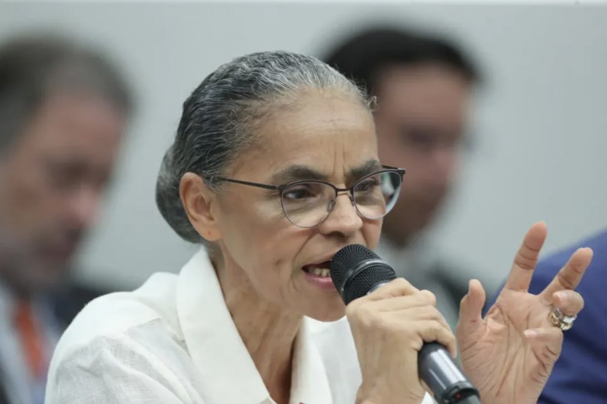Marina Silva afirma que 96% dos incêndios no Pantanal estão controlados