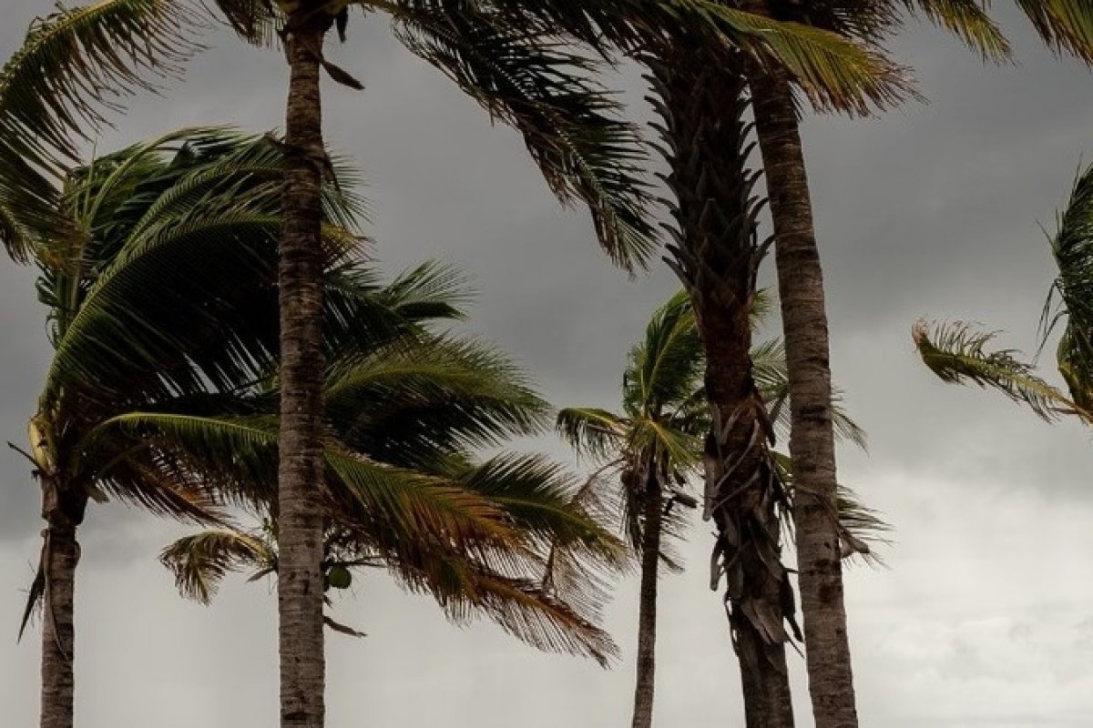 Confira a lista completa de cidades baianas com alerta de vendaval 