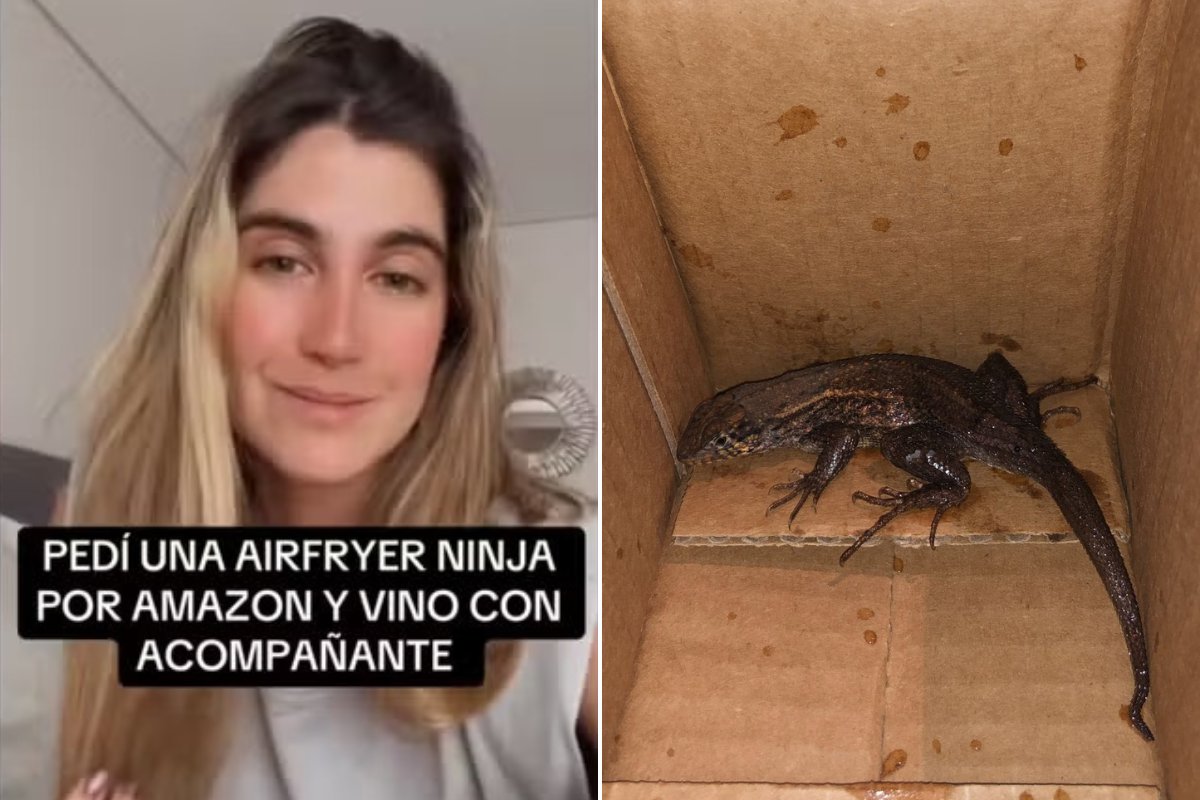 Jovem colombiana compra air fryer online e recebe produto junto com réptil