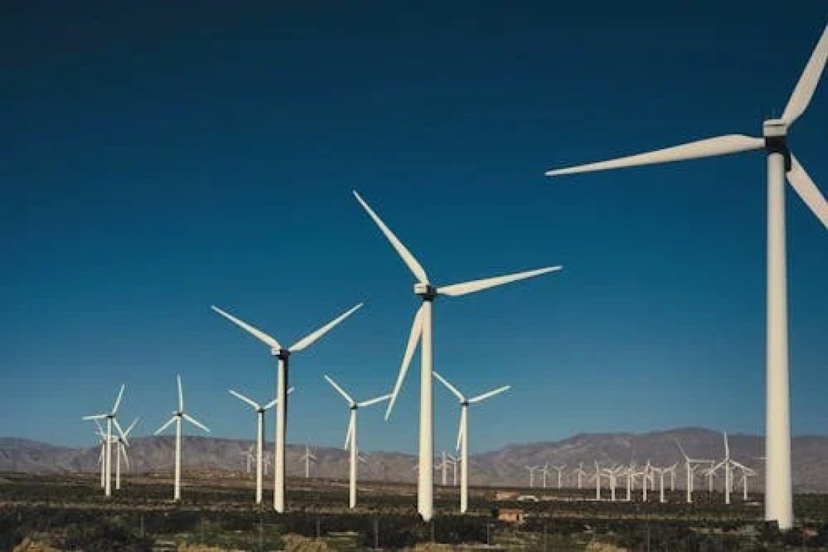 Empresa eólica é acionada pelo MP por danos causados ao meio ambiente 