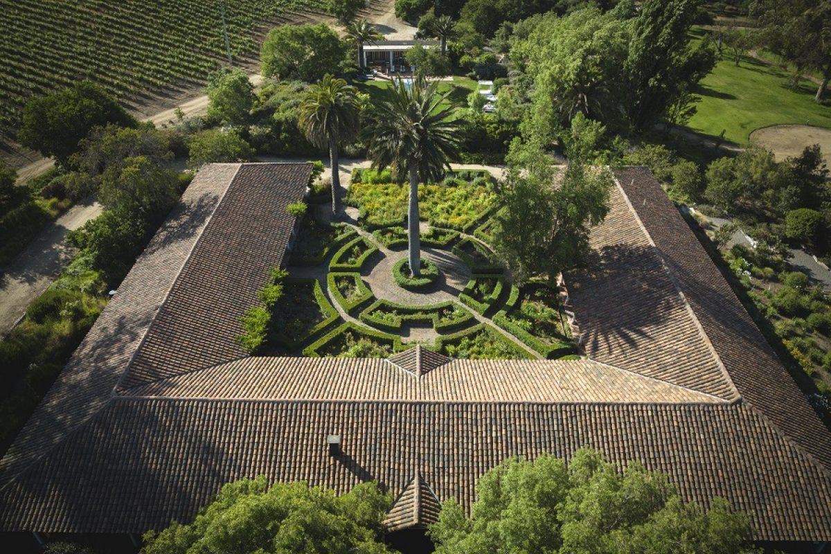 Vinícolas chilenas ficam ainda mais vibrantes e encantadoras com a chegada da primavera! 