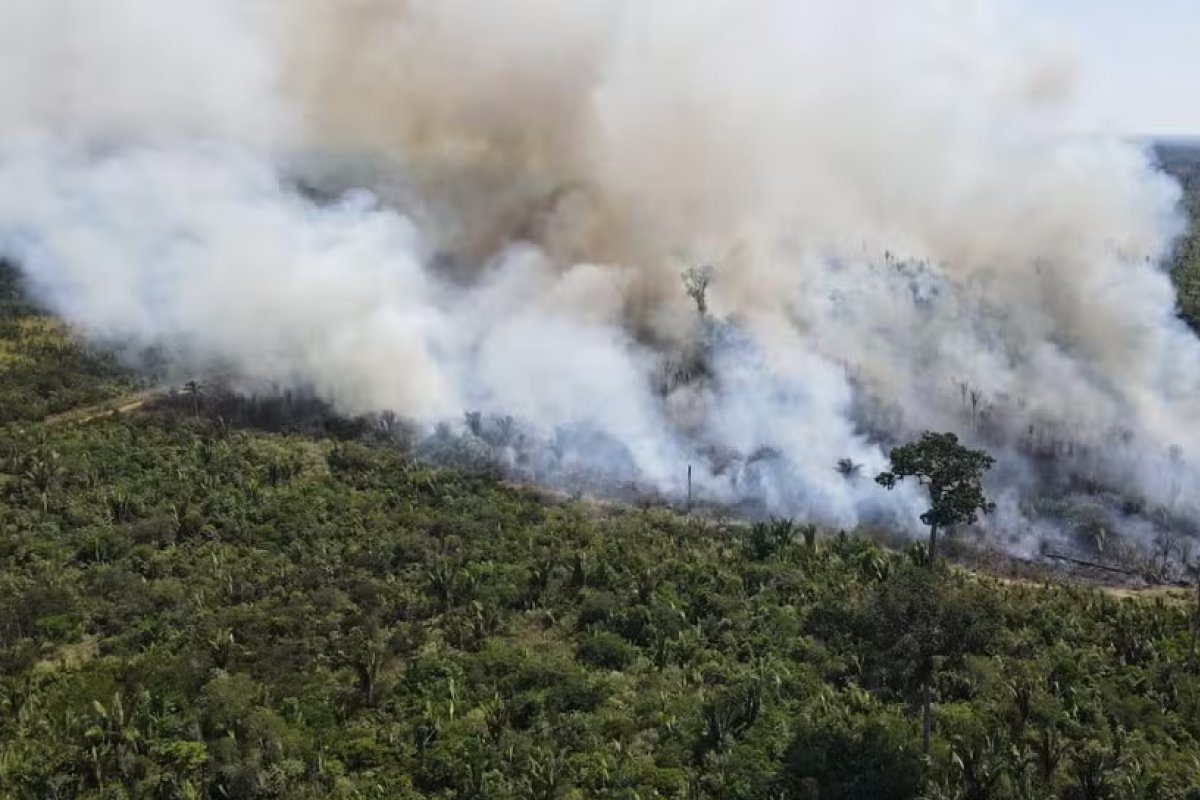 Rondônia bate recordes de focos de queimadas em quase duas décadas, diz Inpe