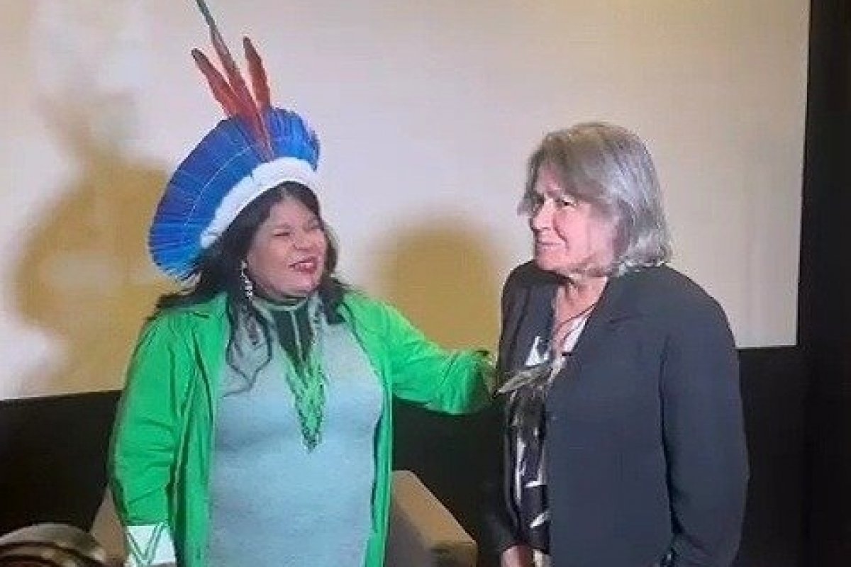 Ministra dos Povos Indígenas Sônia Guajajara é presenteada com obra de arte baiana! 