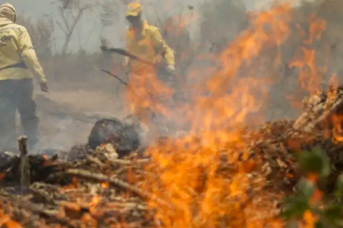 SP: onda de incêndios atinge cidades do interior e mata dois funcionários em usina