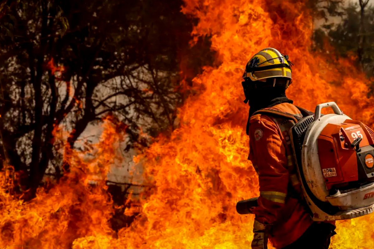 Bombeiros do DF apagam incêndio em área de nascente do Lago Paranoá