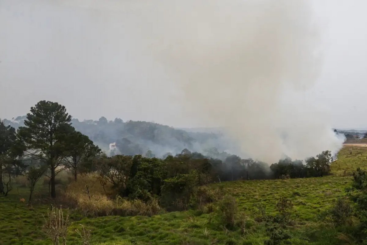 Queimadas em SP: dois homens são presos por suspeita de atuar em incêndios criminosos