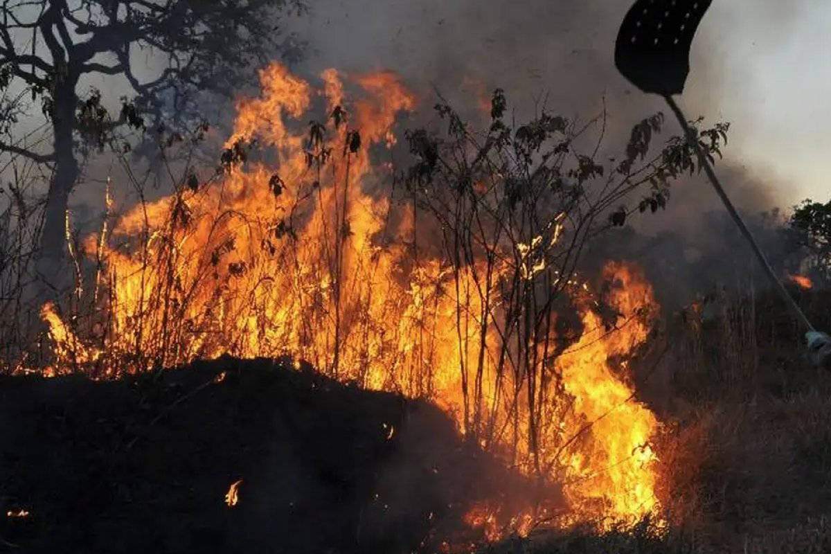 Mais de 700 focos de queimadas são registrados na Bahia só em agosto, aponta Inpe 