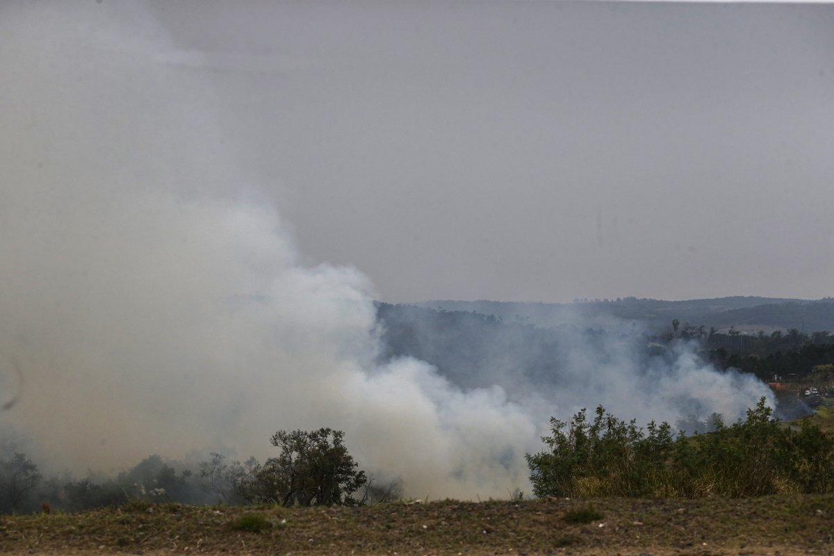 Mais de 80% dos focos de calor em SP estão em áreas de agropecuária