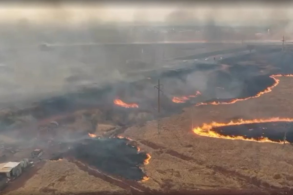 Goiás registra 42 incêndios em um único dia; três pessoas ficam feridas 